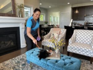 Easy Breezy Home Dusting Tips. How to Improve the Air Quality in Your Home