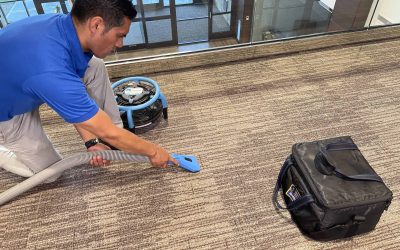 Will my home’s carpets dry quickly after cleaning?