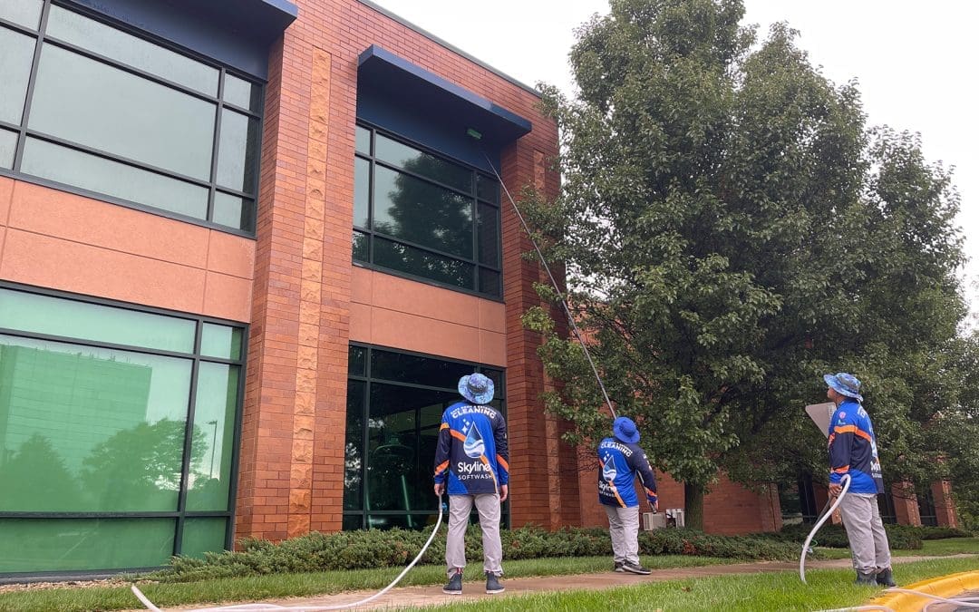 Clean Your Roof vs Replace