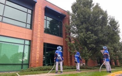 Clean Your Roof vs Replace