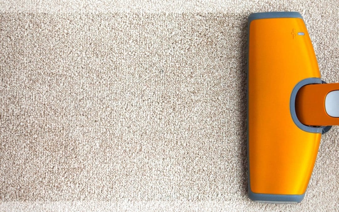 Carpet Cleaning 101