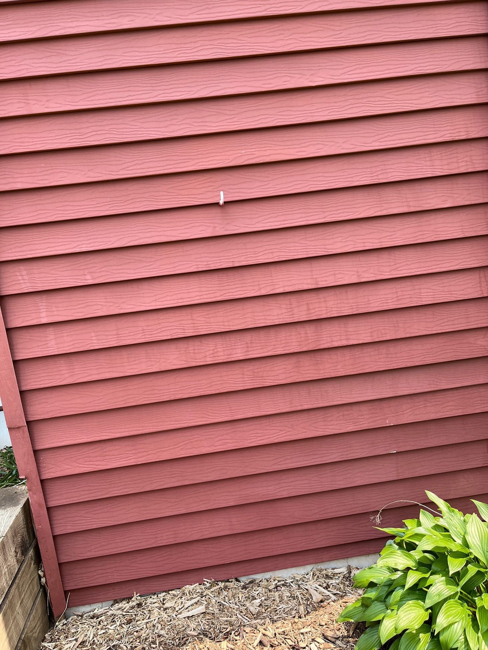 aHR0cHM6Ly9jb21wYW55Y2FtLXBlbmRpbmcuczMuYW1hem9uYXdzLmNvbS81MjFhZmU2ZS1hZjY4LTQyMDctODkxZC1hMzMyNDI1YjVjMGEuanBn