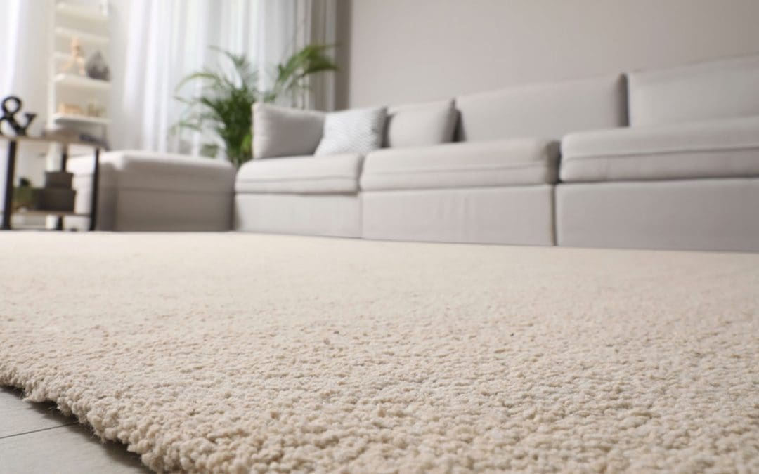 Easy Ways to Keep Your Carpet Clean Between Professional Carpet Cleanings