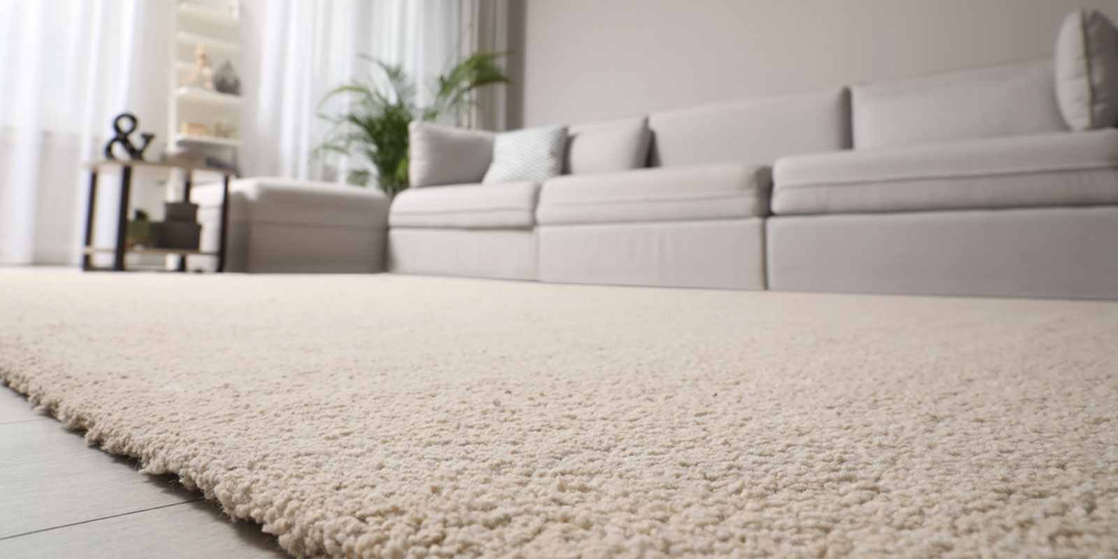 Easy Ways to Keep Your Carpet Clean Between Professional Carpet Cleanings