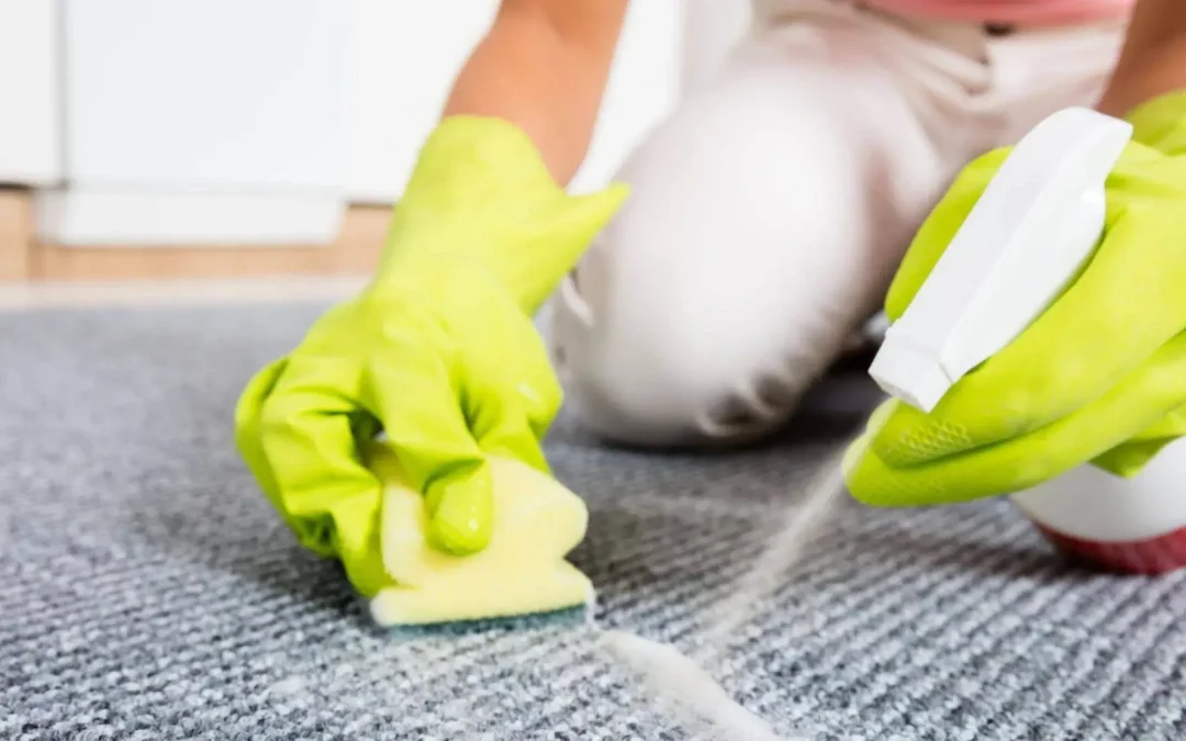 How to Clean Pet Stains from Carpet: The Right Way for Odor-Free Results