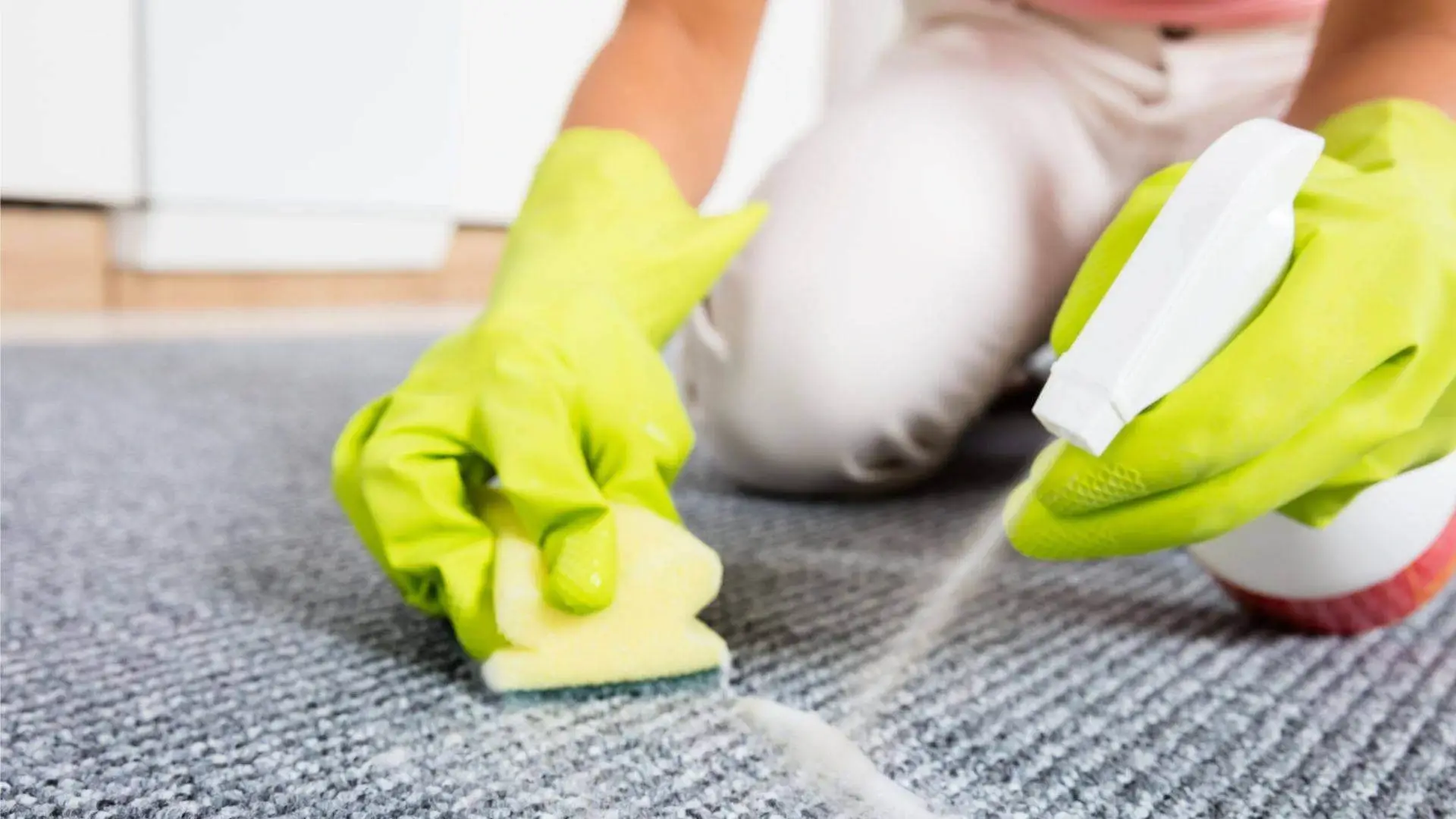 person cleaning carpet with a sponge